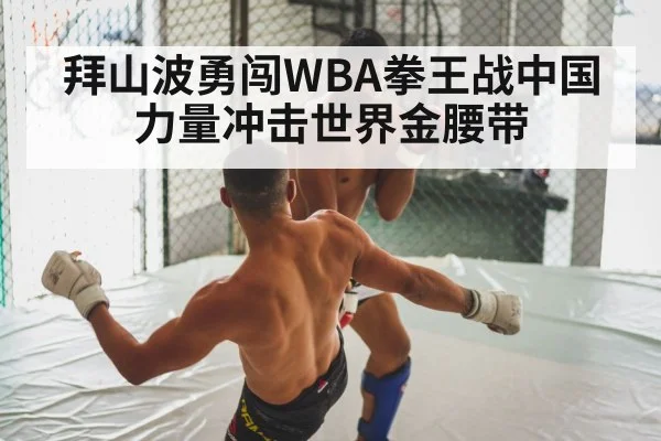 boxing fight