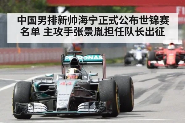 中国男排新帅海宁正式公布世锦赛名单 主攻手张景胤担任队长出征